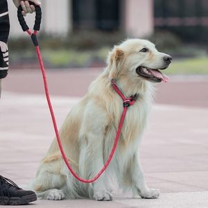 Slip Lead Dog Leash